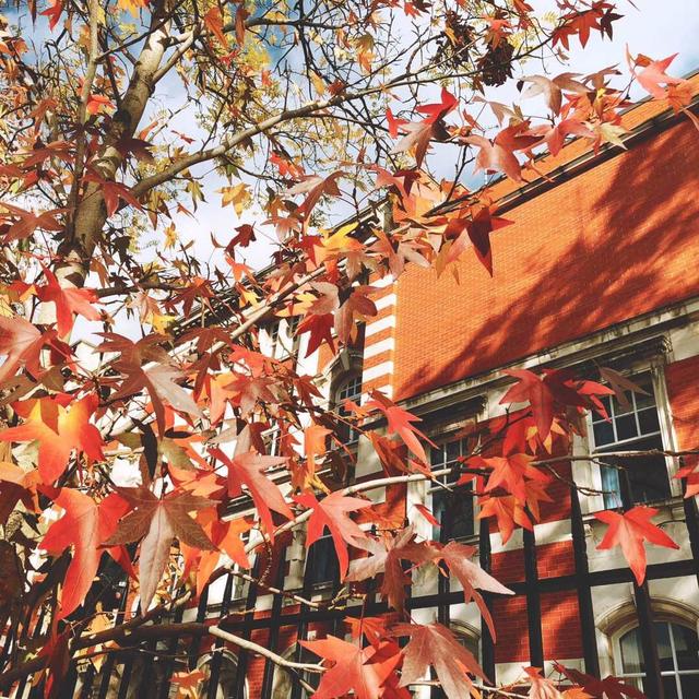 曼徹斯特大學怎么樣相當于國內什么大學?世界排名第幾認可度高嗎