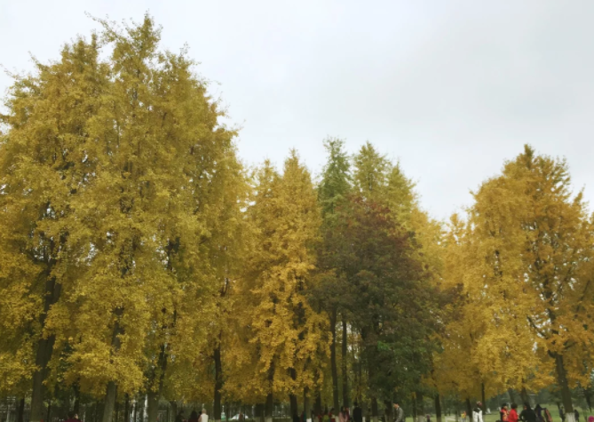 2023���ڱ��ƈ�(b��o)���r(sh��)�g���l����B��������ô��(b��o)���������(b��o)����