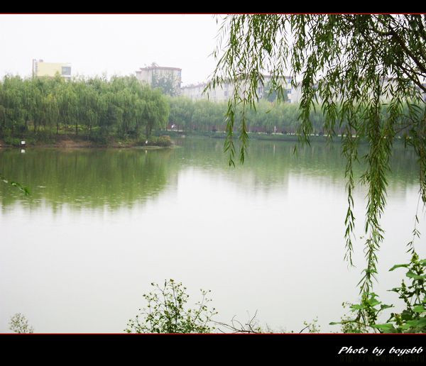 2019北京自學考試專業一覽表介紹?北京自考難嗎和外省含金量一樣?