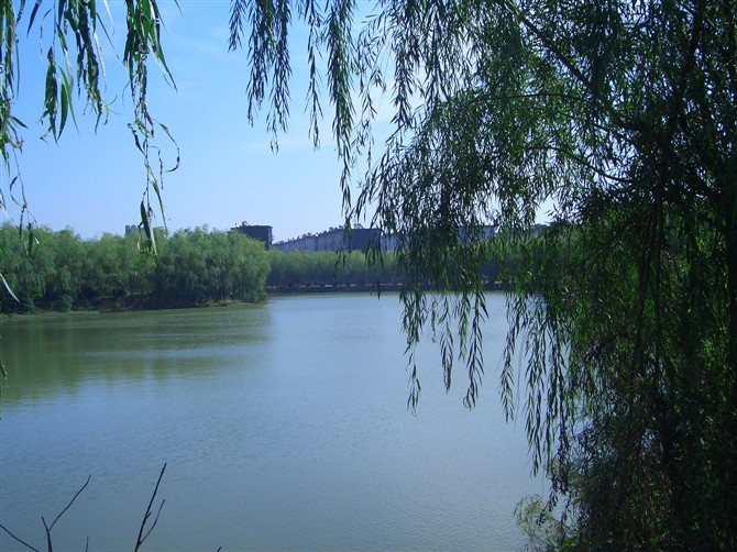 ���ϴ�W�Կ������đ{���ÆẬ�������?�����Կ��y������Щ���I?