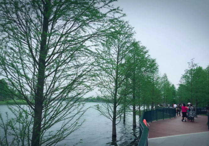 自考大專學校有差異嗎哪個學校比較好?盤點河南省有實力的四所?