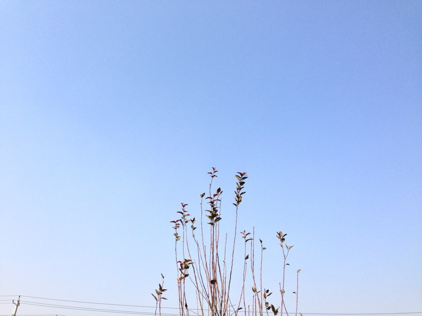 �����Ќ���ô���󿼗l����B?�����Ќ��W�v���ҳ��J���J�ɶȸ߆�?