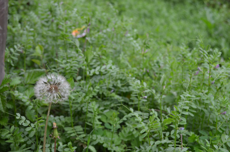 高中補課去新東方好嗎?新東方高三補課貴不貴一對一有用嗎?