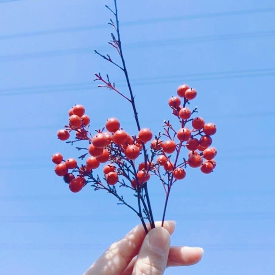 Ӌ��C���ڹ��W߀����W?���W����W��ʲô�^�e?Ӌ��C����Щ���I