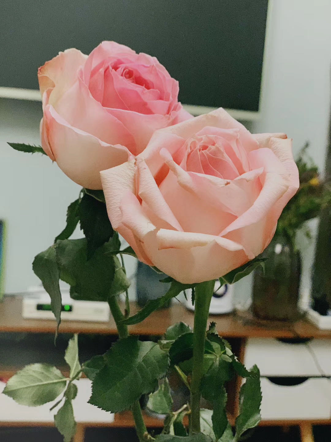 �W�����������Ǹ�ʲô�ģ�������(n��i)������Щ���M�W��������Щ��̎��