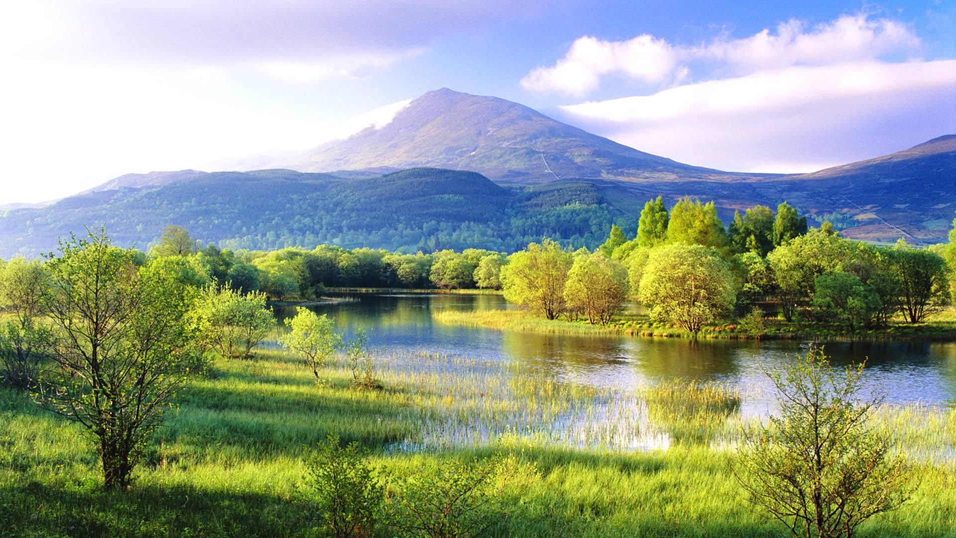 �t�������Q��ʲô��˼���ஔ��ʲô���e���u�ϸ��ߺ��Y�q����