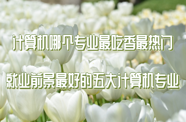 1651737536107579.png 計(jì)算機(jī)哪個(gè)專業(yè)最吃香最熱門 就業(yè)前景最好的五大計(jì)算機(jī)專業(yè)