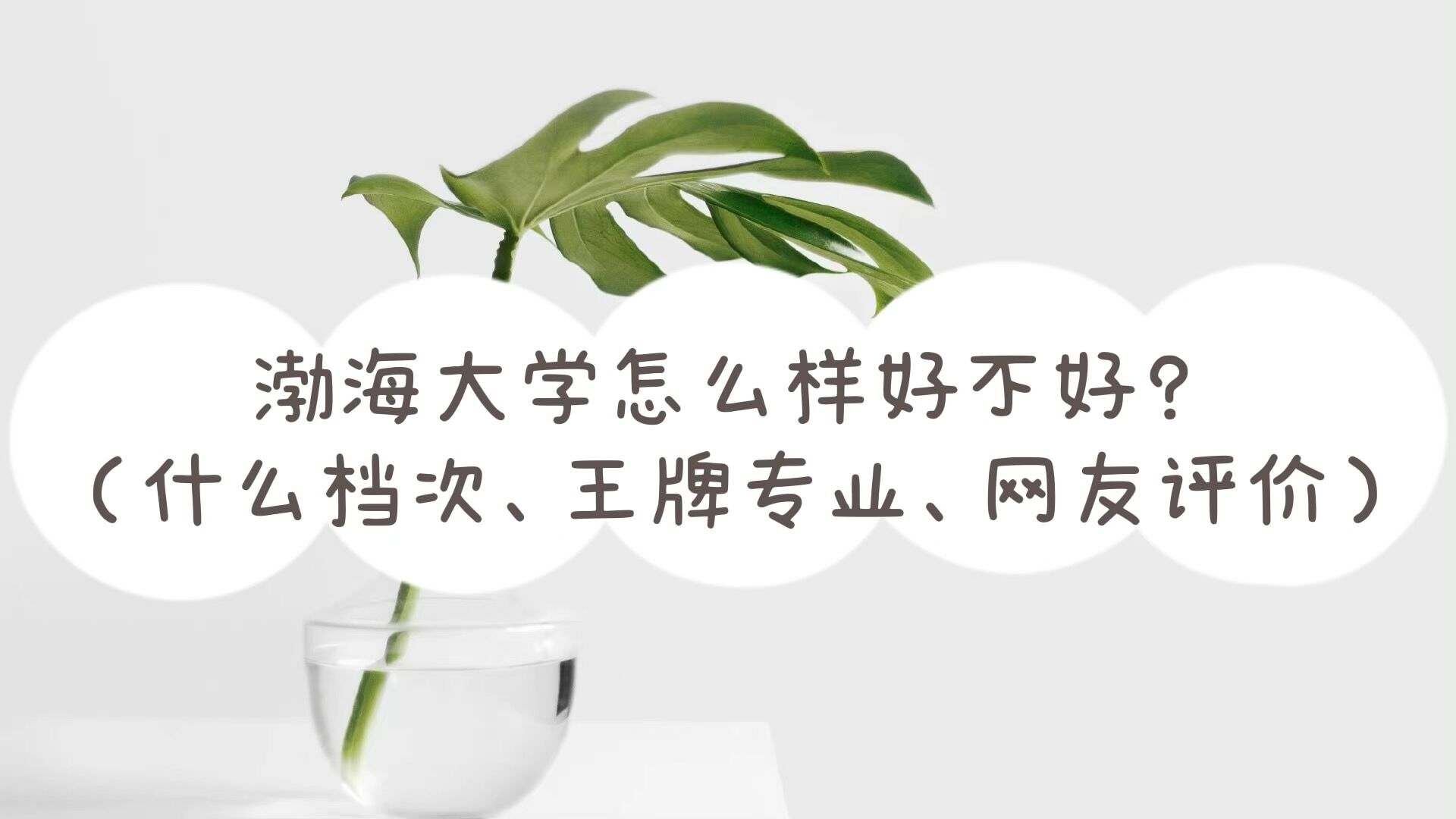 1652085975257028.jpg 渤海大學怎么樣好不好(什么檔次、王牌專業、網友評價)