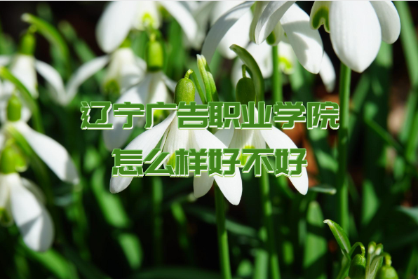 �|���V���I�WԺ��ô�Ӻò�������ʲô�n�������I�O�����ڱ���