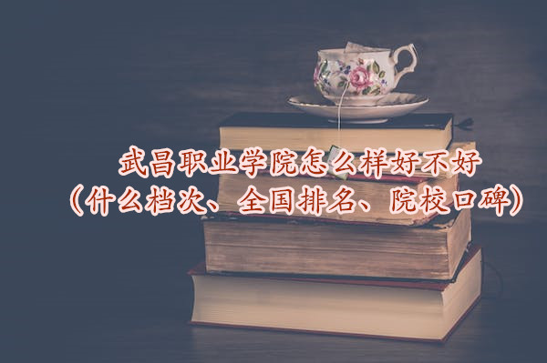 1665654982584444.jpg 武昌職業學院怎么樣好不好(什么檔次、全國排名、院校口碑)