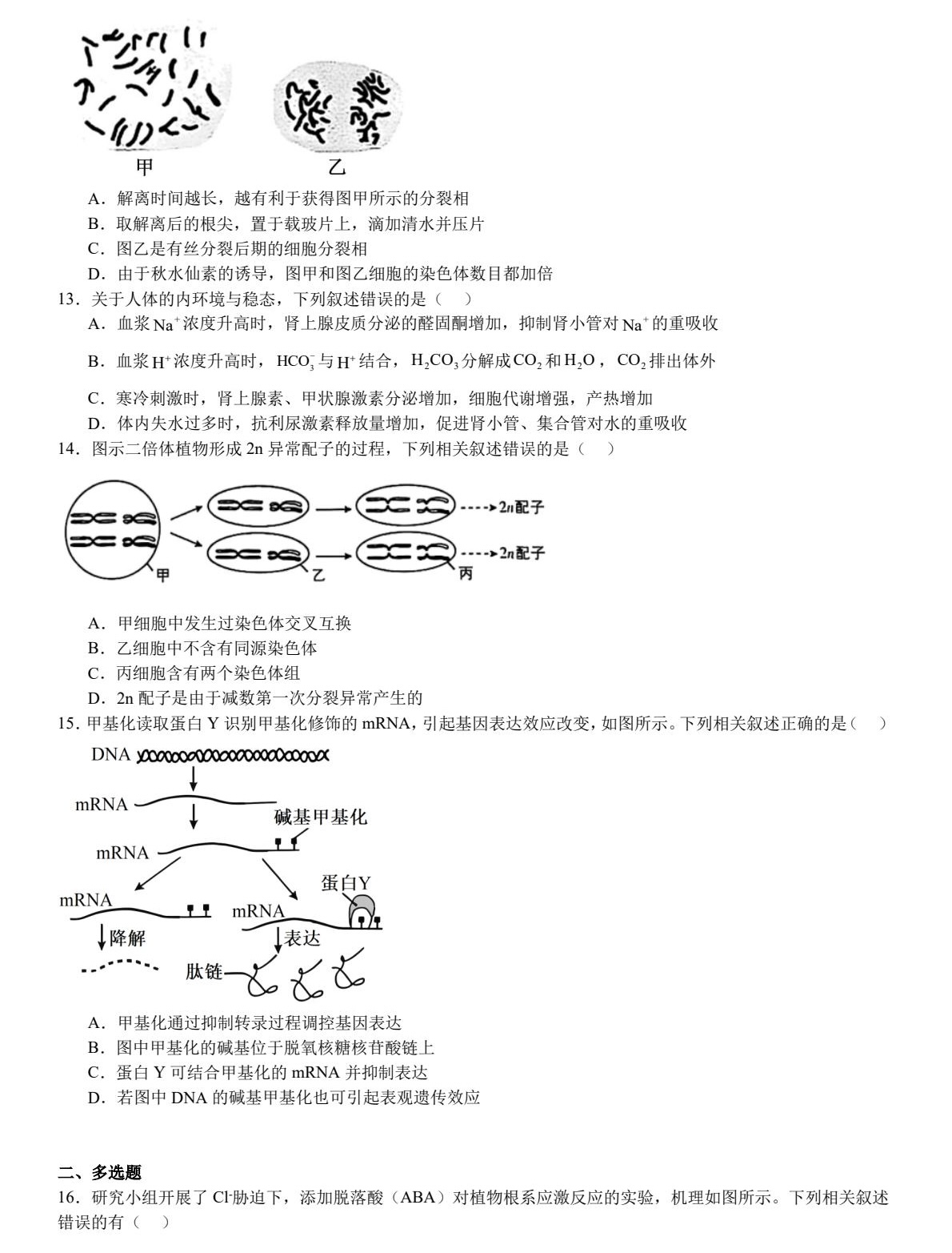 2025���K�¸߿�����ԇ�����}���𰸽����������c�}�ͼ���ֵ�ֲ�