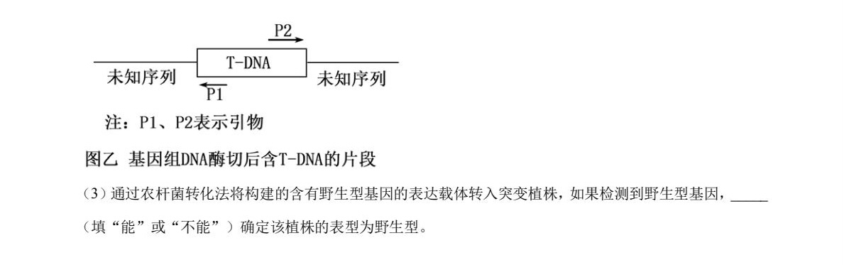 2025ɽ�|�¸߿�����ԇ�����}���𰸽����������c�}�ͼ���ֵ�ֲ�