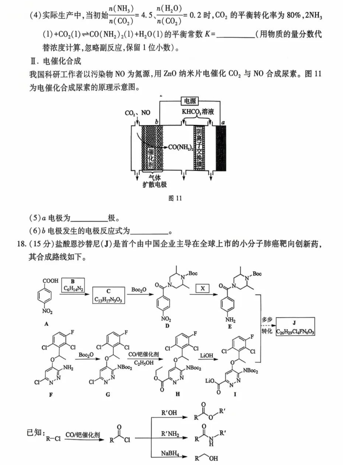 2025�V���¸߿����Wԇ�����}���𰸽����������c�}�ͼ���ֵ�ֲ�